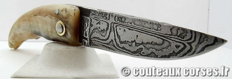curnicciolu-damas-et-corne-de-belier-m3-padovani-1-1-8