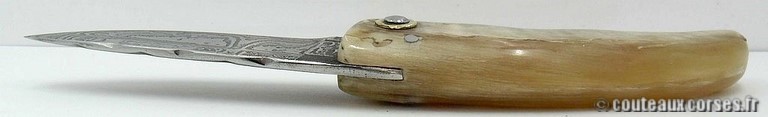 curnicciolu-damas-et-corne-de-belier-m3-padovani-1-4
