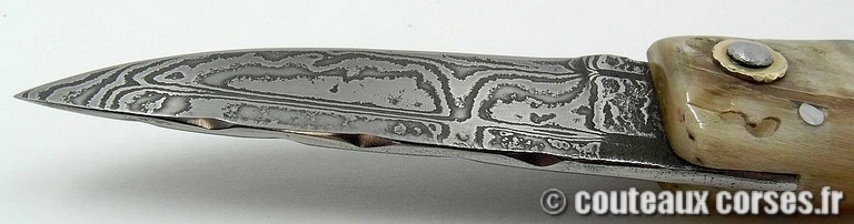 curnicciolu-damas-et-corne-de-belier-m3-padovani-1-89