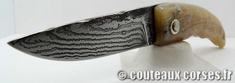 curnicciolu-damas-et-corne-de-belier-m3-padovani-1-3