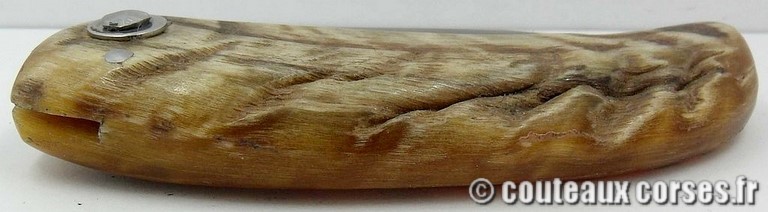 couteau-corse-curnicciolu-ab-ce1-padovani-4