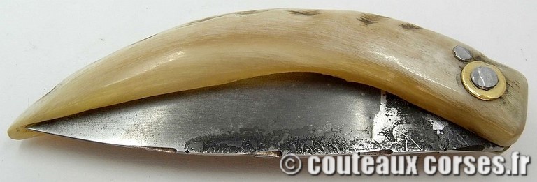 couteau-corse-curnicciolu-ab-cb1-padovani-2