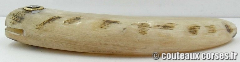 couteau-corse-curnicciolu-ab-cb1-padovani-4