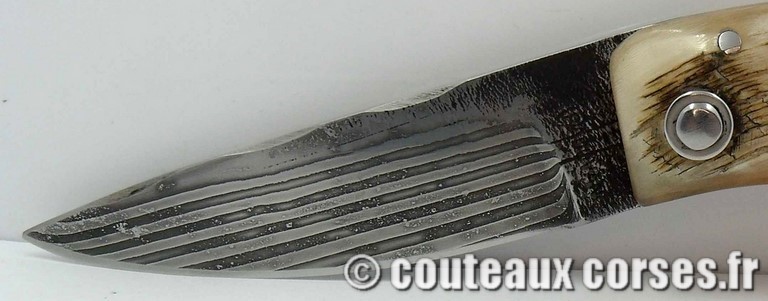 couteau corse artisanal bois d amarante et damas couteau-corse-artisanal-damas-m-padovani-1-6