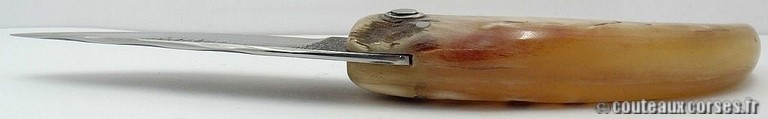 Couteau Corse artisanal bois amarante et damas couteau-corse-artisanal-damas-m-padovani-1-4