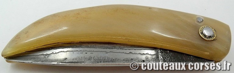 curnicciolu-damas-et-corne-de-belier-M-Padovani-1-1-5-2