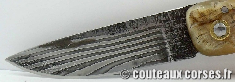 couteau corse curnicciolu damas et corne de belier curnicciolu-damas-et-corne-de-belier-M-Padovani-1-1-56.