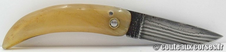 curnicciolu-damas-et-corne-de-belier-M-Padovani-1-1-5-9-1