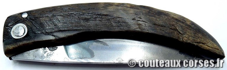 couteau corse manche olivier et lame acier carbone 1 couteau-corse-curnicciolu-SDRZ159-padovani-1