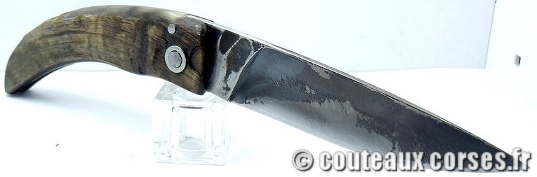 couteau corse manche olivier et lame acier carbone couteau-corse-curnicciolu-SDRZ159-padovani-10