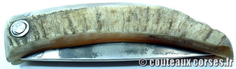 couteau corse curnicciolu Padovani u3 couteau-corse-curnicciolu-padovani-SDCXPL590-91