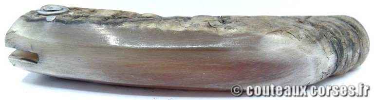 couteau corse curnicciolu Padovani u3 couteau-corse-curnicciolu-padovani-SDCXPL590-3