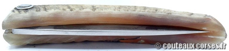 couteau corse curnicciolu Padovani u3 couteau-corse-curnicciolu-padovani-SDCXPL590-4