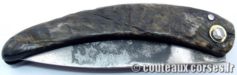 couteau corse curnicciolu Padovani u1 couteau-corse-curnicciolu-padovani-BERP580-8