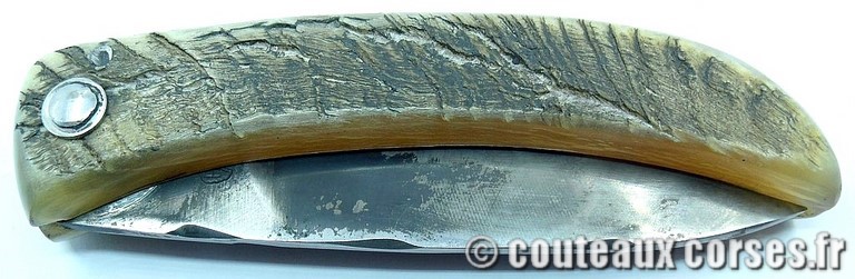 couteau corse curnicciolu Padovani u3 couteau-corse-curnicciolu-padovani-VCXPLN097-91