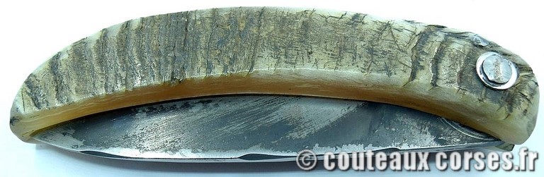 couteau corse curnicciolu Padovani u3 couteau-corse-curnicciolu-padovani-VCXPLN097-8
