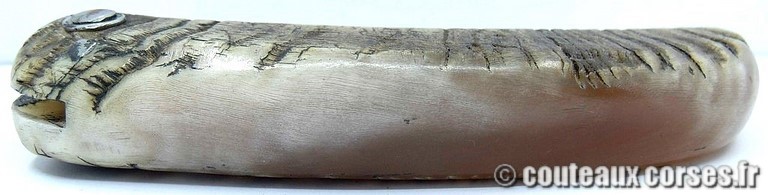 couteau corse curnicciolu Padovani u3 couteau-corse-curnicciolu-padovani-VCXPLN097-3