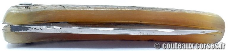 couteau corse curnicciolu Padovani u3 couteau-corse-curnicciolu-padovani-VCXPLN097-4