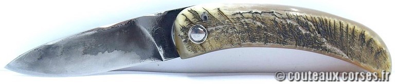 couteau corse curnicciolu Padovani u3 couteau-corse-curnicciolu-padovani-VCXPLN097-5