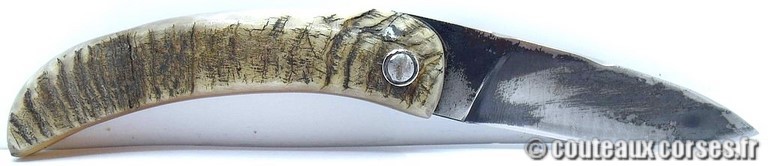 couteau corse curnicciolu Padovani u7 couteau-corse-curnicciolu-padovani-VCXPLN097-6