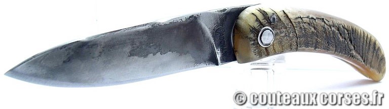 couteau corse curnicciolu Padovani u1 couteau-corse-curnicciolu-padovani-VCXPLN097-9