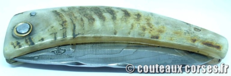 curnicciolu-damas-et-corne-de-belier-CVSDY341-padovani-3