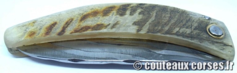 curnicciolu-damas-et-corne-de-belier-CVSDY341-padovani-12