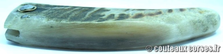 curnicciolu-damas-et-corne-de-belier-CVSDY341-padovani-12