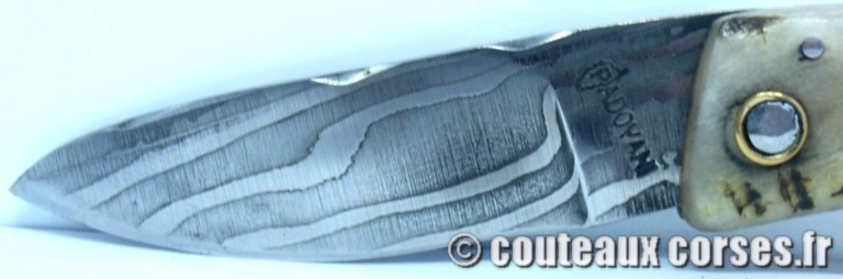 couteau corse curnicciolu damas et corne de belier curnicciolu-damas-et-corne-de-belier-CVSDY341-padovani-198