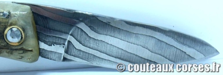 curnicciolu-damas-et-corne-de-belier-CVSDY341-padovani-11