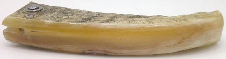 couteau-corse-artisanal-padovani-MP-couteau-corse-artisanal-padovani-couteau-corse-artisanal-padovani-MP-couteau-corse-artisanal-padovani-MP1007-4-3 couteau-corse-artisanal-padovani-MP-couteau-corse-artisanal-padovani-couteau-corse-artisanal-padovani-MP-couteau-corse-artisanal-padovani-MP1007-4-3