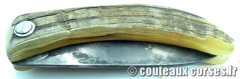 couteau corse manche olivier et lame acier carbone 1 couteau-corse-curnicciolu-BNRT80-padovani-1