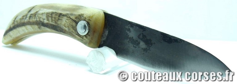 couteau corse manche olivier et lame acier carbone 10 couteau-corse-curnicciolu-BNRT80-padovani-10