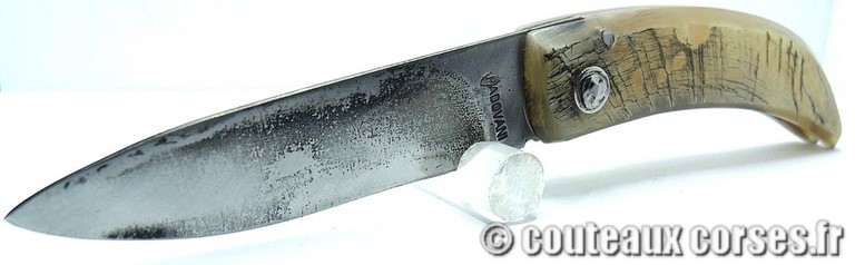 couteau-corse-curnicciolu-padovani-MBVR739-1