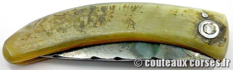 couteau corse curnicciolu Padovani u3 couteau-corse-curnicciolu-padovani-MLCOI830-8