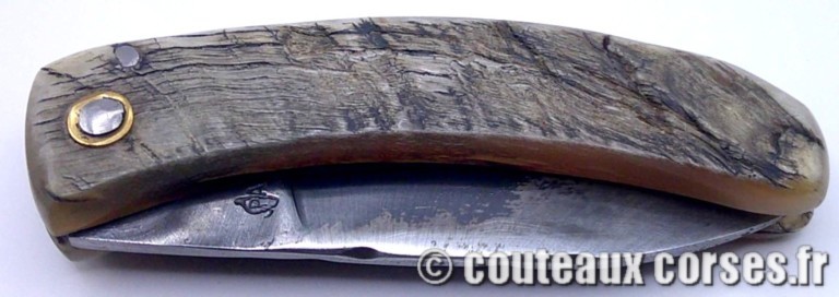 couteau corse curnicciolu Padovani u1 couteau-corse-curnicciolu-padovani-KLGPR845-1