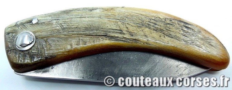 couteau corse curnicciolu Padovani u3 couteau-corse-curnicciolu-padovani-NBRT843-91