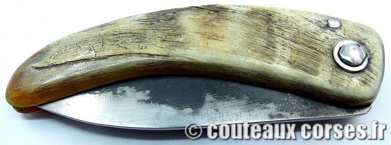 couteau corse curnicciolu Padovani u1 couteau-corse-curnicciolu-padovani-NBRT843-8