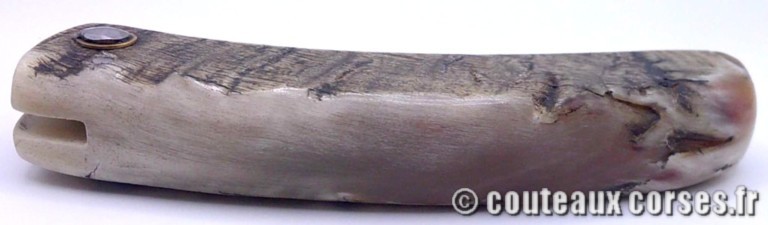 couteau corse curnicciolu Padovani u4 couteau-corse-curnicciolu-padovani-KLGPR845-4