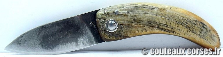 couteau corse curnicciolu Padovani u3 couteau-corse-curnicciolu-padovani-NBRT843-5