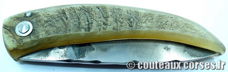 couteau corse curnicciolu Padovani u3 couteau-corse-curnicciolu-padovani-LNRP803-91