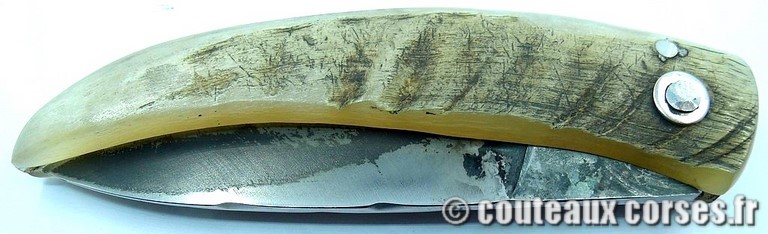 couteau corse curnicciolu Padovani u1 couteau-corse-curnicciolu-padovani-LNRP803-8