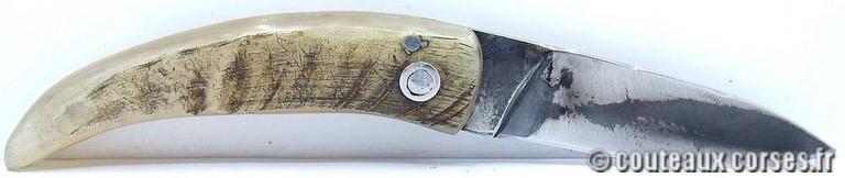 couteau corse curnicciolu Padovani u6 couteau-corse-curnicciolu-padovani-LNRP803-6