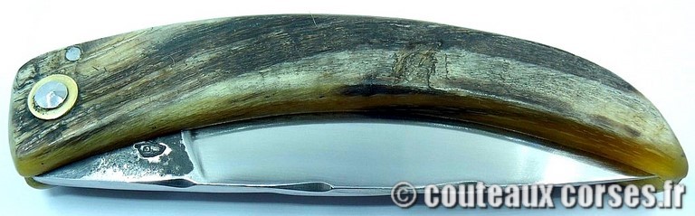 couteau corse curnicciolu Padovani u3 couteau-corse-curnicciolu-padovani-MCEP807-91