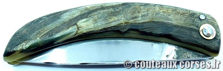 couteau corse curnicciolu Padovani u3 couteau-corse-curnicciolu-padovani-MCEP807-8