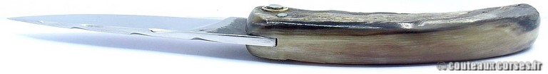 couteau corse curnicciolu Padovani u7 couteau-corse-curnicciolu-padovani-MCEP807-7