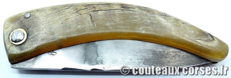 couteau corse curnicciolu Padovani u1 couteau-corse-curnicciolu-padovani-BTRD854-1