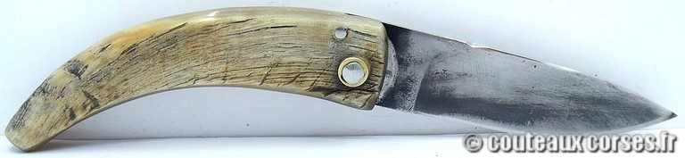 couteau corse curnicciolu Padovani u6 couteau-corse-curnicciolu-padovani-BTRD854-6
