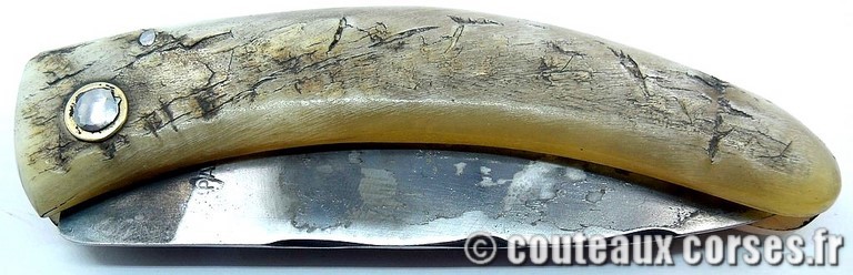 couteau corse curnicciolu Padovani u1 couteau-corse-curnicciolu-padovani-MNVD987-1