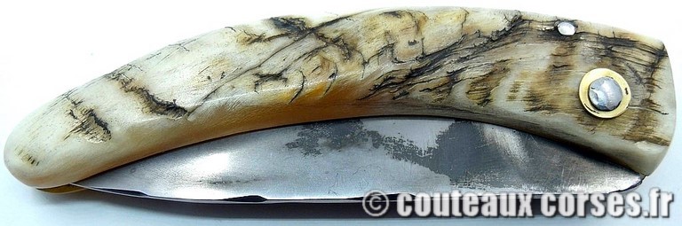 couteau corse curnicciolu Padovani u4 couteau-corse-curnicciolu-padovani-MNVD987-39